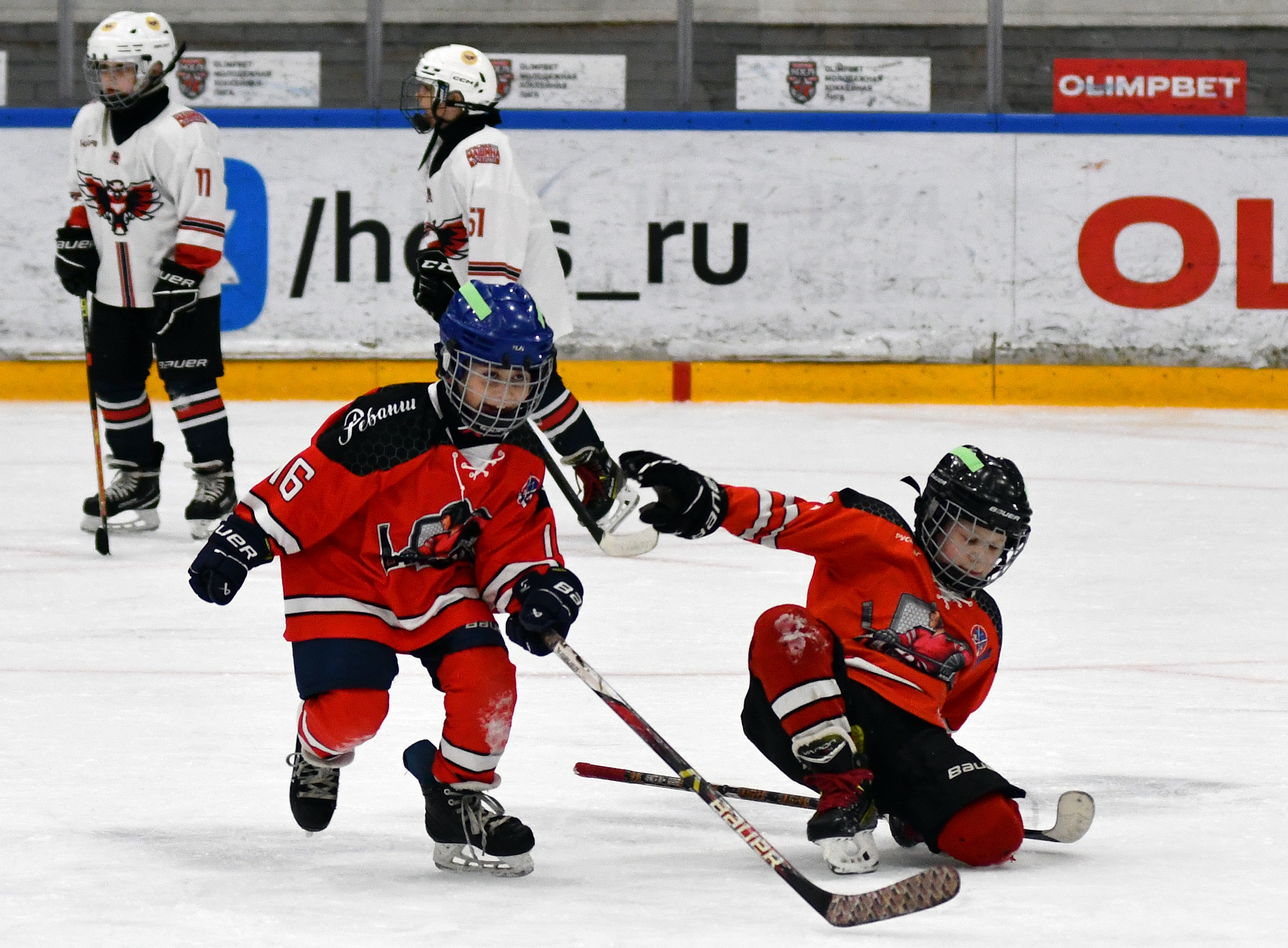 KMN_6813.JPG