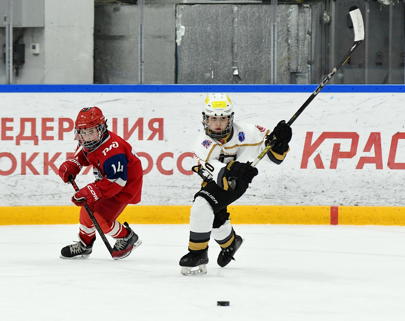 Фото 73: Кубок ФХМ среди команд 2016 года, финалы второго этапа. Арена Арктика